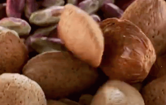 Nuts campaign illustration